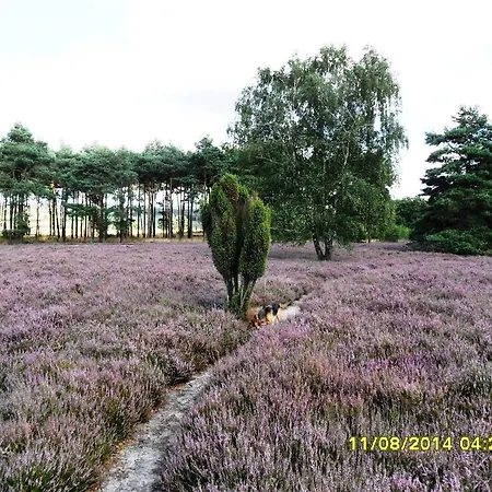 Apartamento Ferienwohnung Uchte *