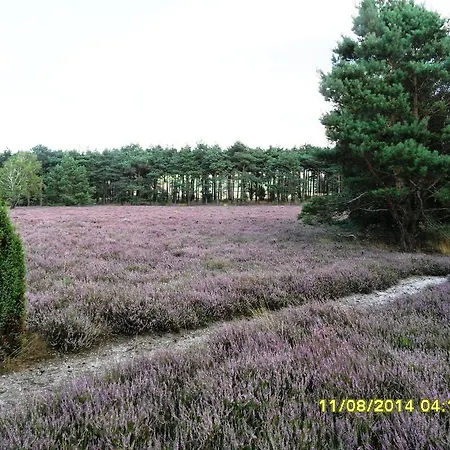 Apartamento Ferienwohnung Uchte Uchte