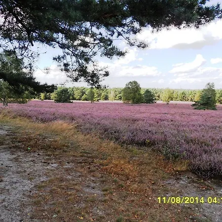 Ferienwohnung Uchte アパート