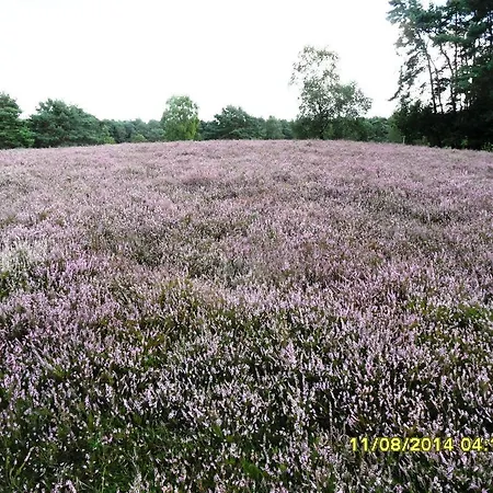 Ferienwohnung Uchte * Uchte