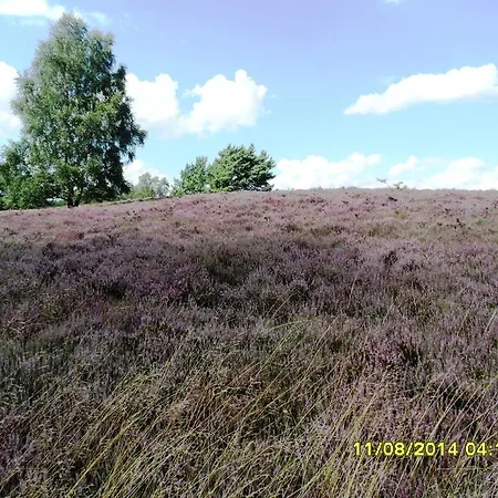 Apartamento Ferienwohnung Uchte Uchte