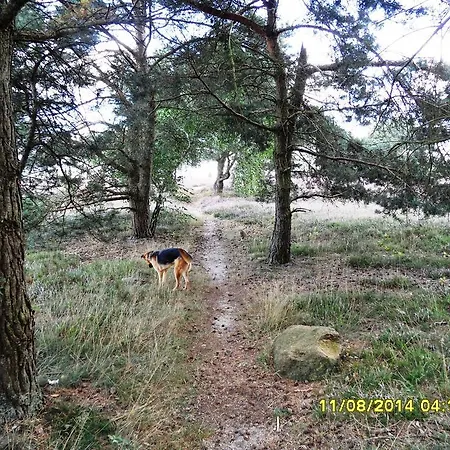 Ferienwohnung Uchte アパート