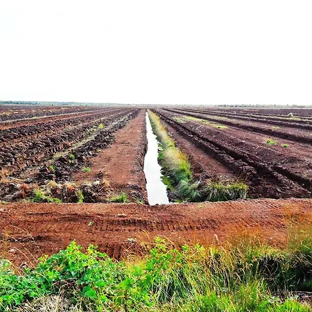 Ferienwohnung Uchte Uchte