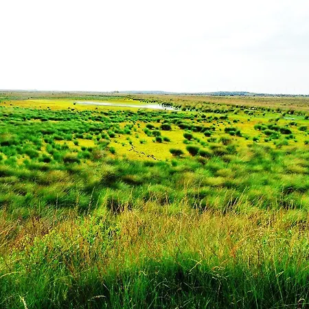 Ferienwohnung Uchte Uchte