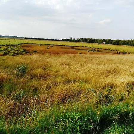 アパート Ferienwohnung Uchte