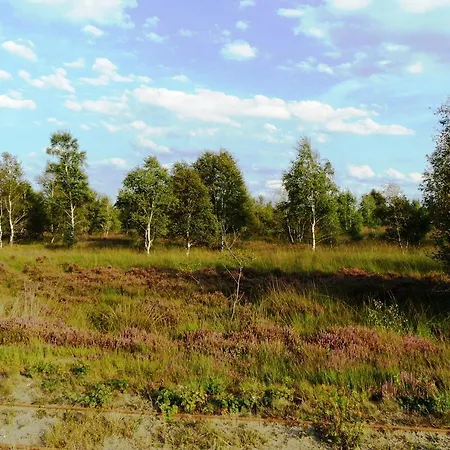 Apartamento Ferienwohnung Uchte Uchte