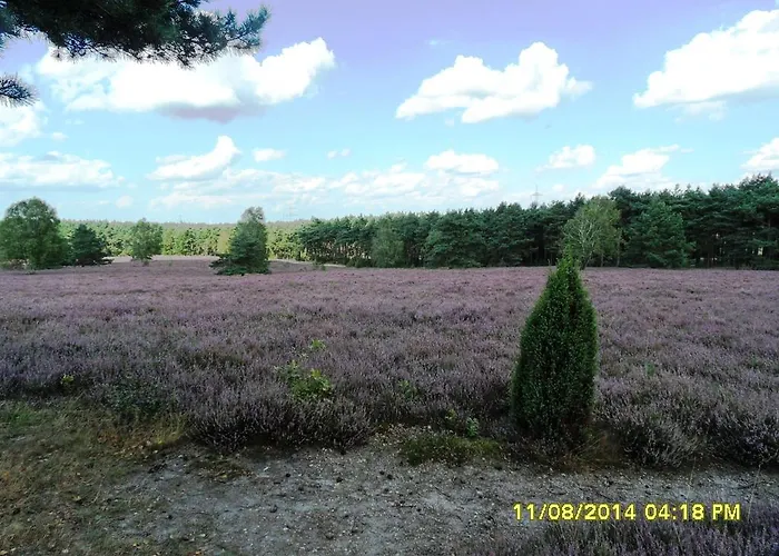 Διαμέρισμα Ferienwohnung Uchte *